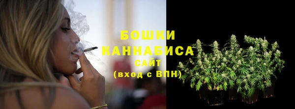 дмт Горно-Алтайск